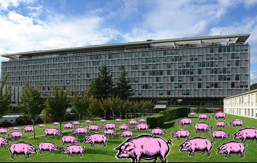 For Your Health Swine Flu